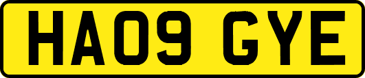 HA09GYE