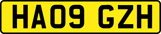 HA09GZH
