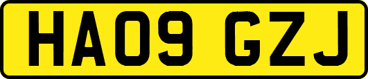 HA09GZJ