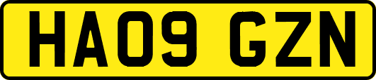 HA09GZN
