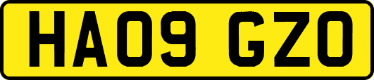 HA09GZO