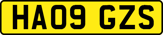 HA09GZS