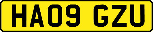 HA09GZU