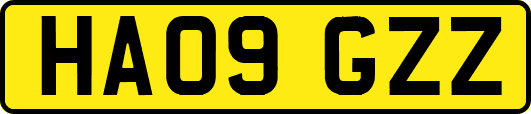 HA09GZZ