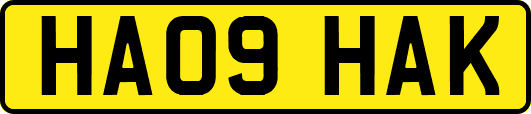 HA09HAK