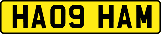 HA09HAM
