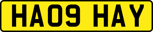 HA09HAY