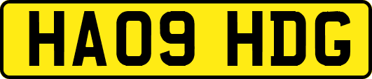 HA09HDG