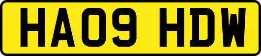 HA09HDW