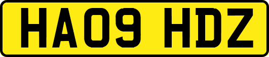 HA09HDZ