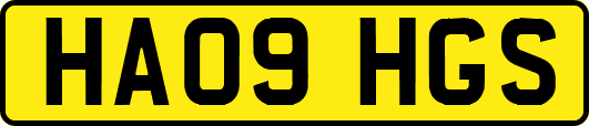 HA09HGS