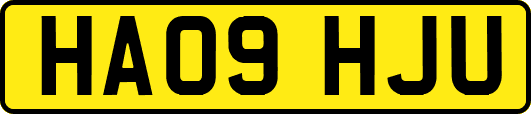 HA09HJU