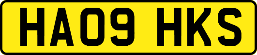 HA09HKS