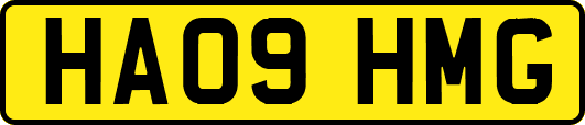 HA09HMG