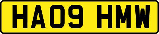 HA09HMW
