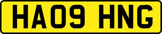 HA09HNG