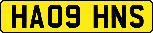 HA09HNS