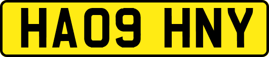 HA09HNY
