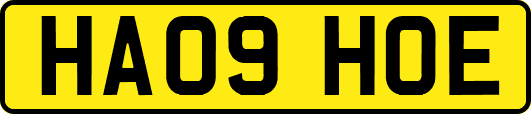 HA09HOE