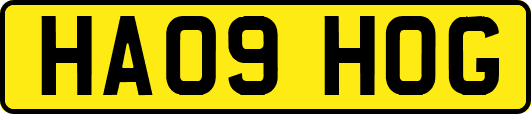 HA09HOG