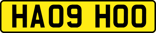 HA09HOO