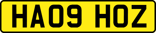 HA09HOZ
