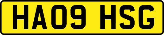 HA09HSG