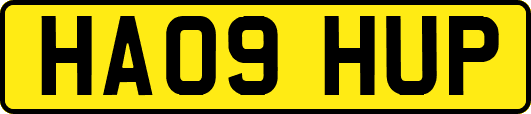 HA09HUP