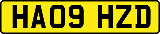 HA09HZD