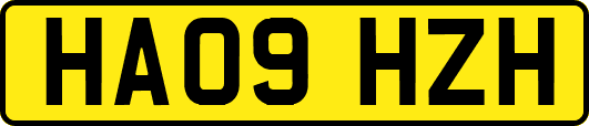 HA09HZH