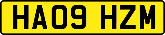 HA09HZM