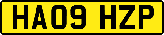 HA09HZP
