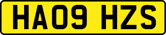 HA09HZS
