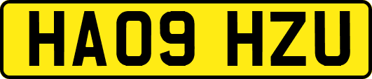 HA09HZU