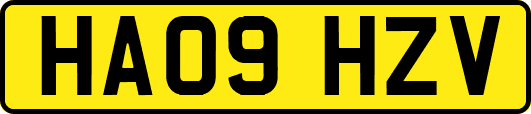 HA09HZV