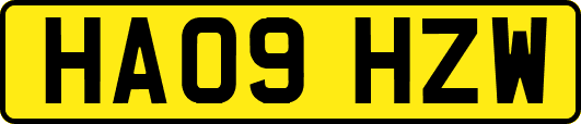 HA09HZW