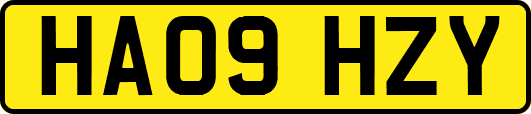HA09HZY
