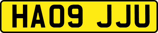 HA09JJU