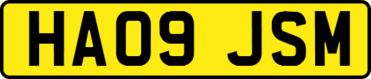 HA09JSM