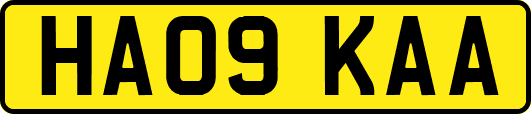 HA09KAA