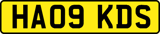 HA09KDS