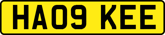 HA09KEE