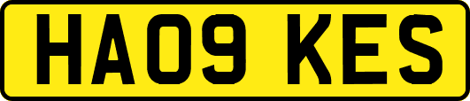 HA09KES