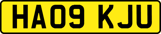 HA09KJU