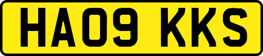 HA09KKS