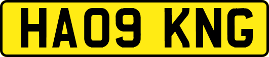 HA09KNG
