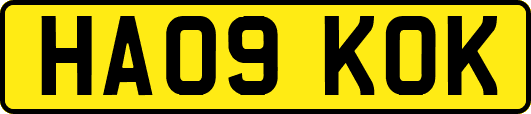 HA09KOK