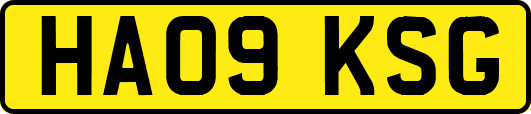 HA09KSG