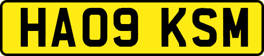 HA09KSM