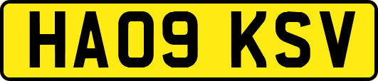 HA09KSV